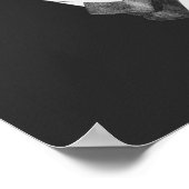 Classy Llama Poster (Hoek)