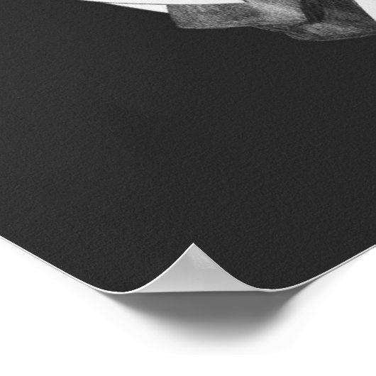 Classy Llama Poster (Hoek)