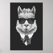 Classy Llama Poster (Voorkant)