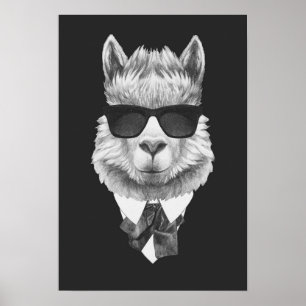 Classy Llama Poster