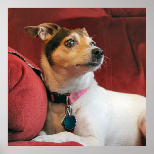 Classy Poster (Voorkant)