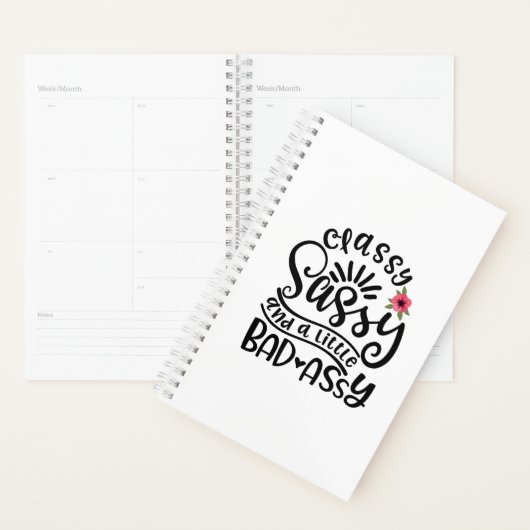 Classy Sassy en een beetje slechte Assy Southern S Planner (Display)