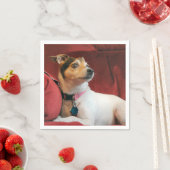 Classy Servet (Insitu)