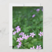 Classy Shamrock Flowers Baby shower Kaart (Achterkant)