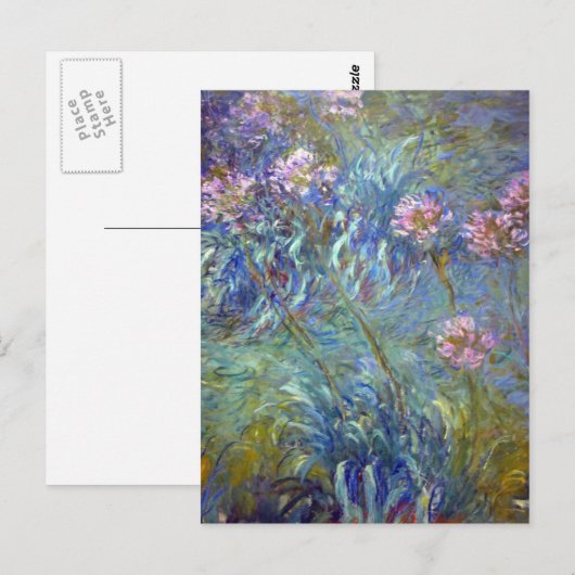 Claude Monet Agapanthus Briefkaart (Voorkant / Achterkant)