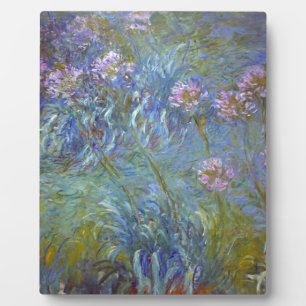 Claude Monet - Agapanthus Classic Flowers Painting Fotoplaat