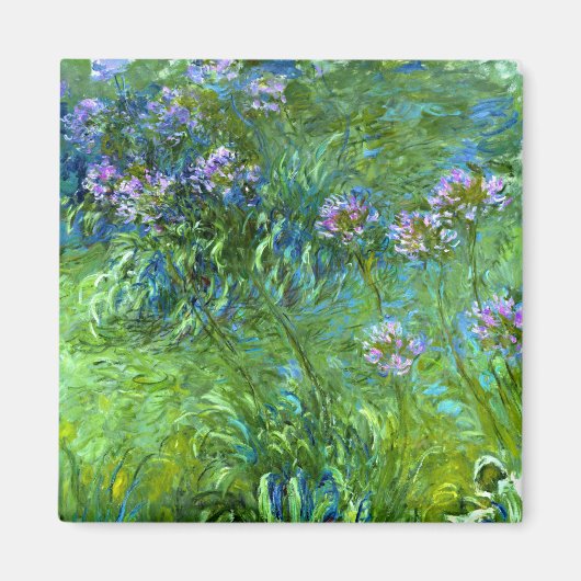 Claude Monet: Agapanthus Magneet (Voorkant)