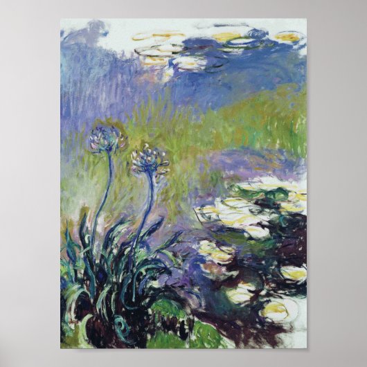 Claude Monet - Agapanthus Poster (Voorkant)