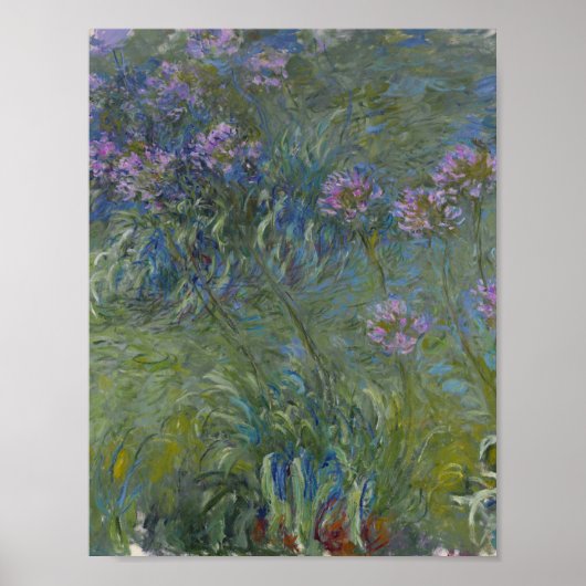 Claude Monet - Agapanthus Poster (Voorkant)