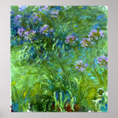 Claude Monet: Agapanthus Poster (Voorkant)