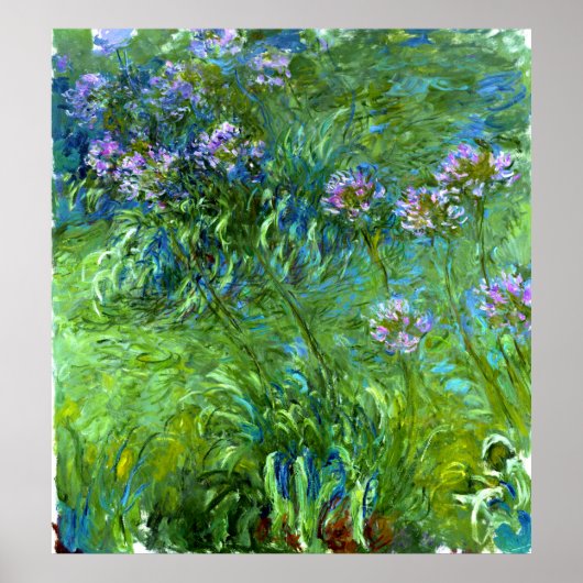 Claude Monet: Agapanthus Poster (Voorkant)