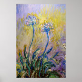 Claude Monet - Agapanthus Poster (Voorkant)