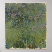 Claude Monet - Agapanthus Poster (Voorkant)