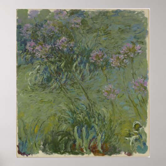 Claude Monet - Agapanthus Poster (Voorkant)