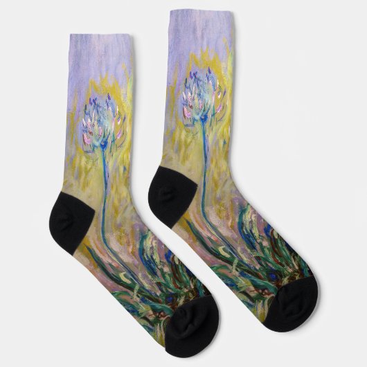 Claude Monet - Agapanthus Sokken (Rechts)