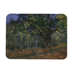 Claude Monet Bodmer Oak, Fontainebleau Fores Magneet