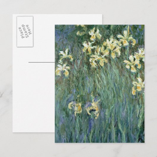 Claude Monet | de Gele lissen Briefkaart (Voorkant / Achterkant)
