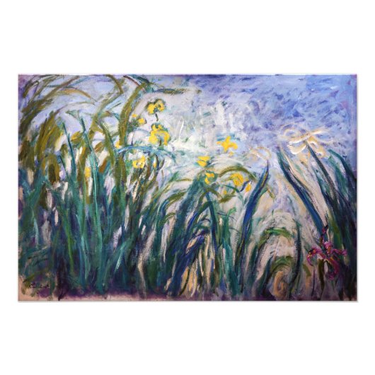Claude Monet - Geel en Paars Irises Foto Afdruk (Voorkant)