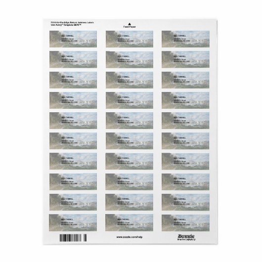 Claude Monet - Het bekken in Argenteuil Etiket (Full Sheet)