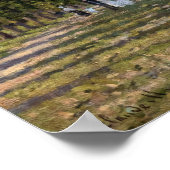 Claude Monet - Het bekken in Argenteuil Poster (Hoek)