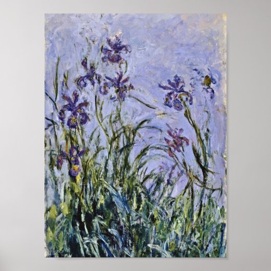 Claude Monet - Iris Mauves Poster (Voorkant)