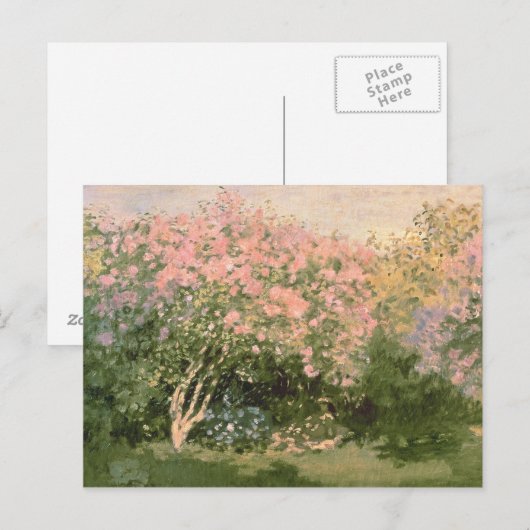 Claude Monet | Lila in de zon, 1873 Briefkaart (Voorkant / Achterkant)