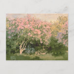 Claude Monet | Lila in de zon, 1873 Briefkaart<br><div class="desc">Lila in de zon,  1873 | van Claude Monet | Art Location: Pushkin Museum,  Moskou,  Rusland | Franse artiest | Collectie Afbeelding nummer: XIR182548</div>