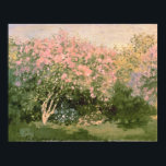 Claude Monet | Lila in de zon, 1873 Poster<br><div class="desc">Lila in de zon,  1873 | van Claude Monet | Art Location: Pushkin Museum,  Moskou,  Rusland | Franse artiest | Collectie Afbeelding nummer: XIR182548</div>