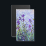 Claude Monet - Lila Irises Magnetische Kaart<br><div class="desc">Lila Irises / Iris Mauves - Claude Monet,  1914-1917</div>