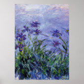 Claude Monet Lila Irises Poster (Voorkant)