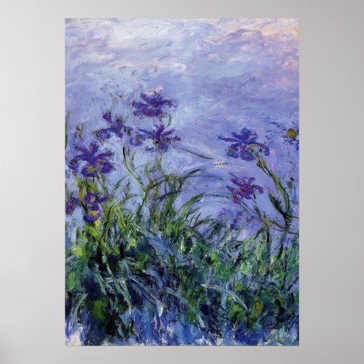 Claude Monet Lila Irises Poster (Voorkant)