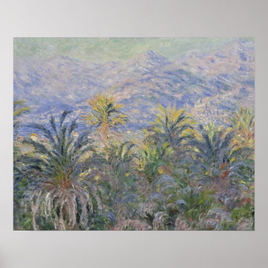 Claude Monet - Palm Trees op Bordighera Poster (Voorkant)