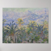 Claude Monet - Palm Trees op Bordighera Poster (Voorkant)