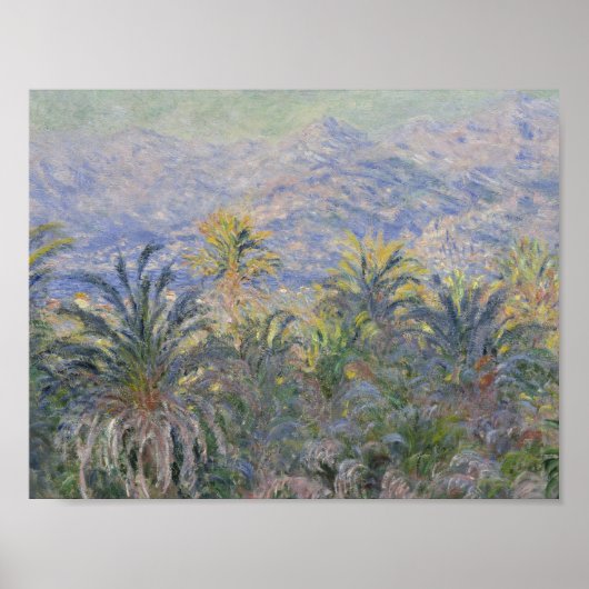 Claude Monet - Palm Trees op Bordighera Poster (Voorkant)