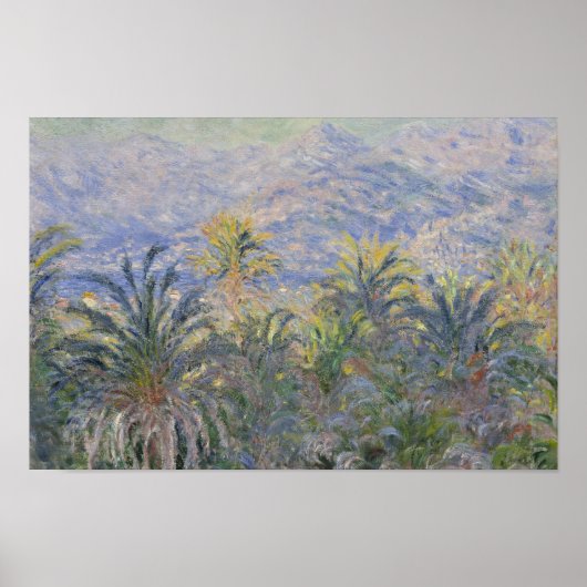 Claude Monet - Palm Trees op Bordighera Poster (Voorkant)