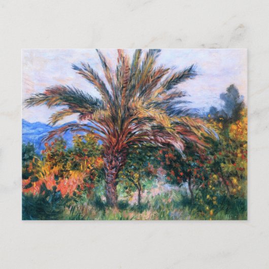 Claude Monet Palmboom op Bordighera Briefkaart (Voorkant)