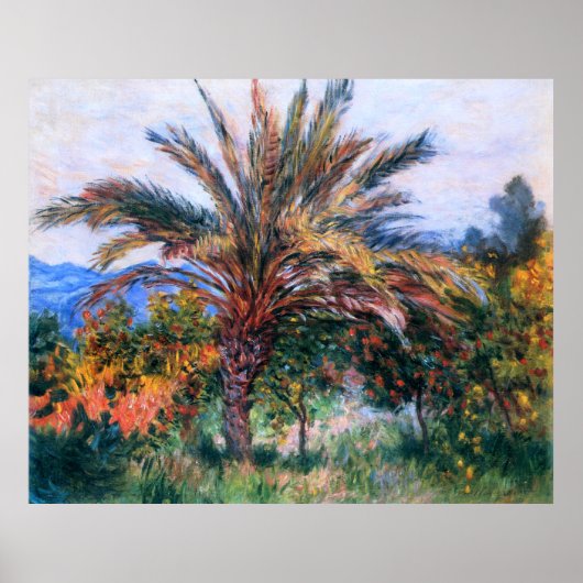 Claude Monet: Palmboom op Bordighera Poster (Voorkant)