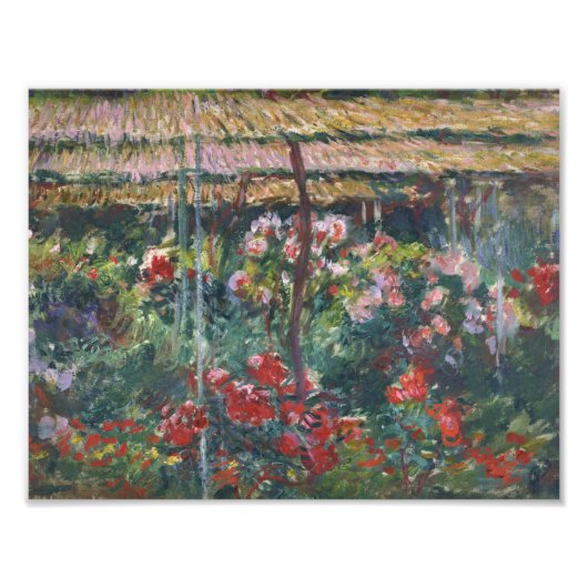 Claude Monet - Peony Garden Foto Afdruk (Voorkant)