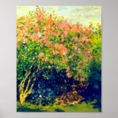 Claude Monet Poster (Voorkant)