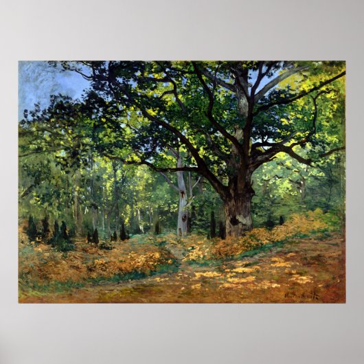 Claude Monet The Bodmer Oak, Fontainebleau Forest Poster (Voorkant)