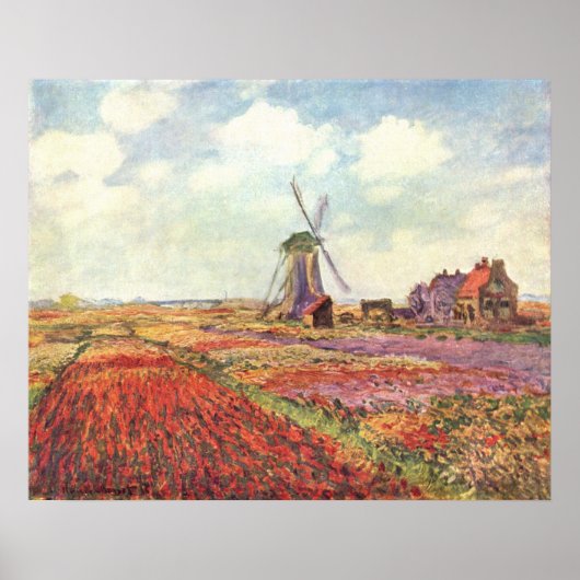 Claude Monet - Tulip fields in Nederland - 1886 Poster (Voorkant)