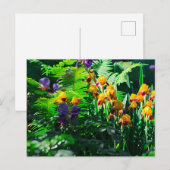 Claude Monet Type Stylized Garden Iris Briefkaart (Voorkant / Achterkant)