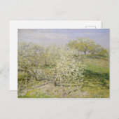 Claude Monet | Veervruchtenbomen in Bloom Briefkaart (Voorkant / Achterkant)