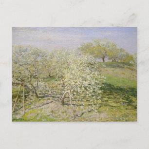 Claude Monet   Veervruchtenbomen in Bloom Briefkaart