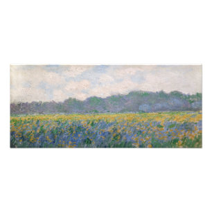 Claude Monet - Veld met gele irissen bij Giverny Foto Afdruk