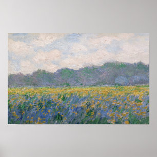 Claude Monet - Veld van gele irissen bij Giverny Poster