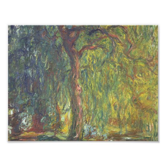 Claude Monet - Weeping Willow Foto Afdruk (Voorkant)