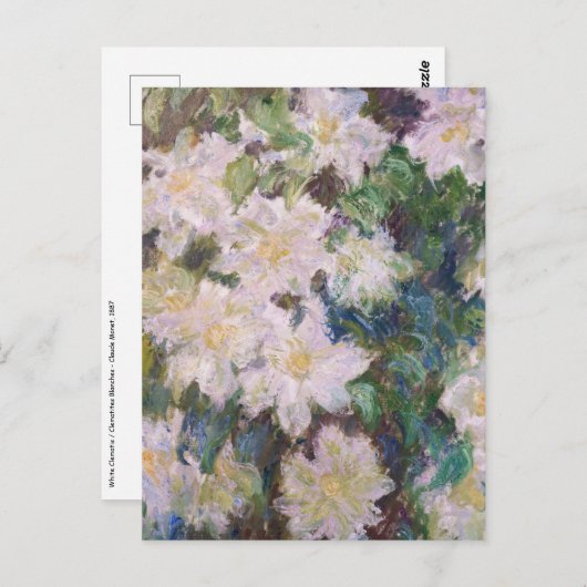 Claude Monet - White Clematis Briefkaart (Voorkant / Achterkant)
