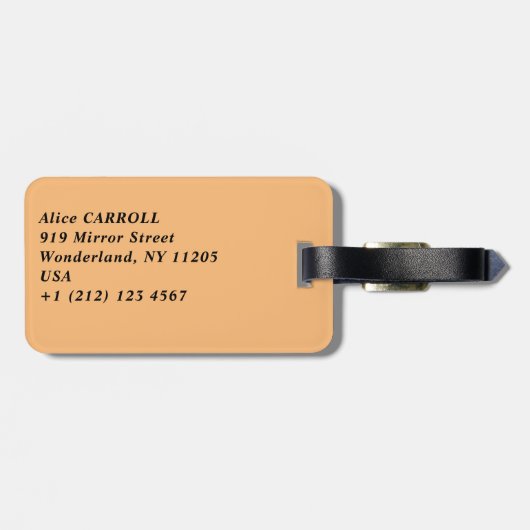 Claude Monet - Windmolens bij Zaandam Bagagelabel (Achterkant horizontaal)