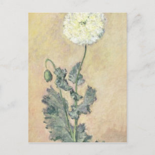 Claude Monet   Witte papaver, 1883 Briefkaart